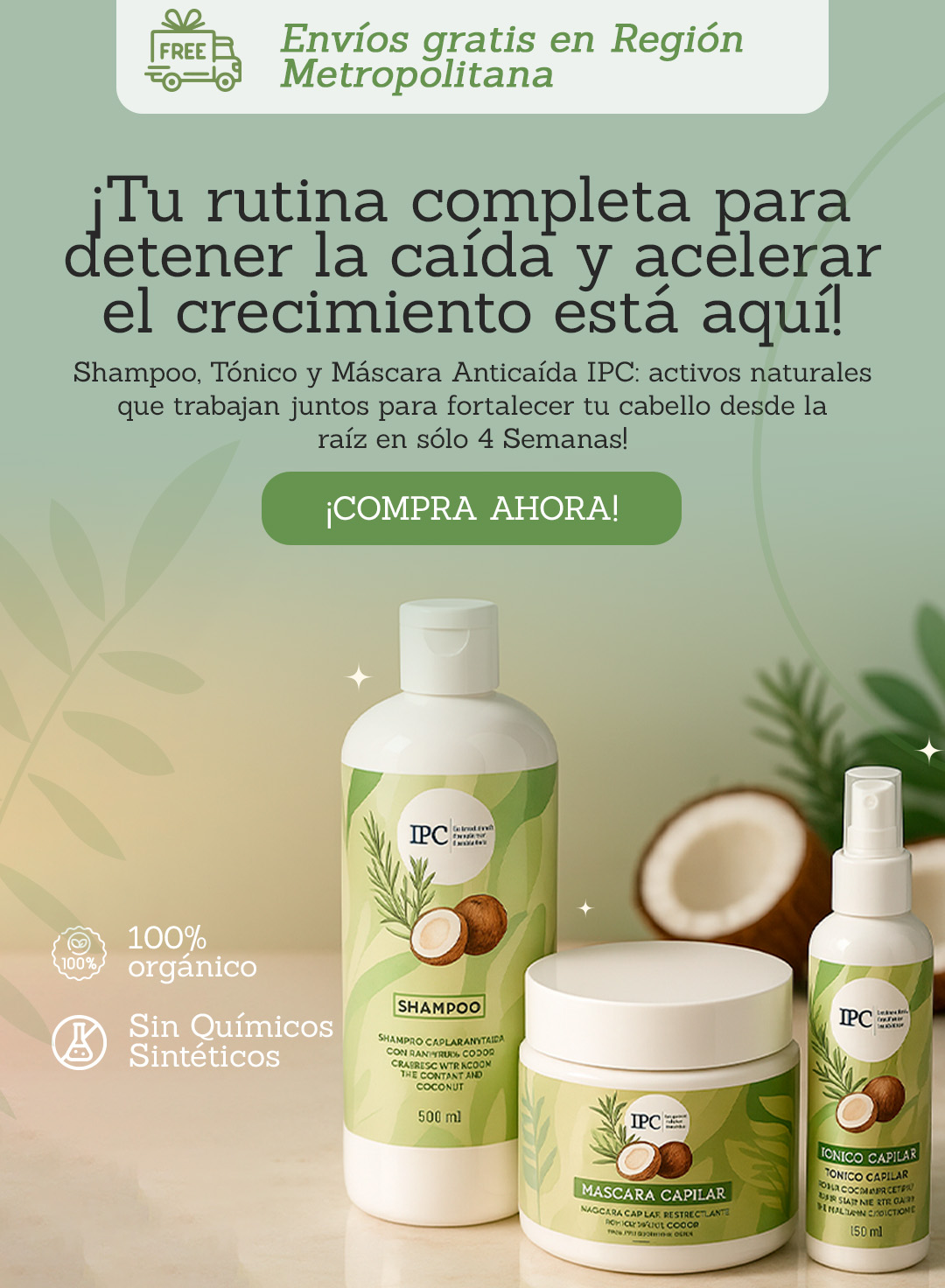 combo Anticaida IPC